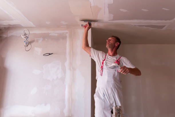 Trusted Archer Lodge, NC Dry wall and painting Experts